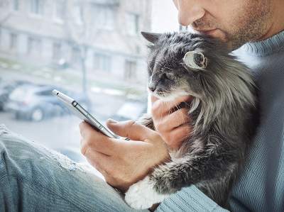image for Protecting Our Pets During Wildfires and Smoke